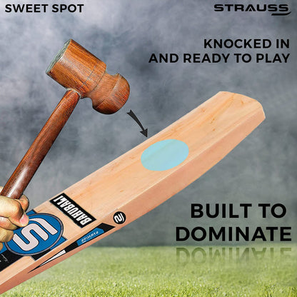 Strauss Cricket Bat  Edition Bahubali  Kashmir Willow  Full Size  Double Blade  Tennis Cricket Bat