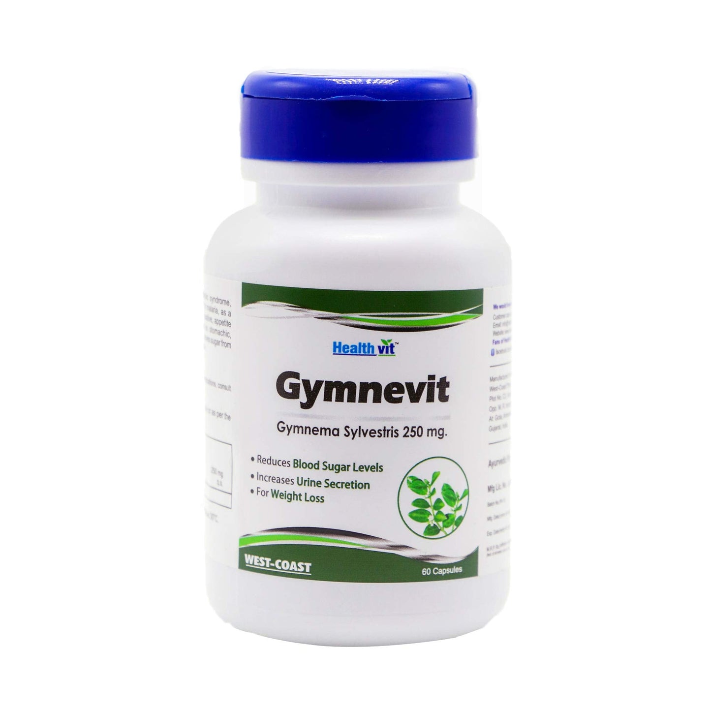 Healthvit Gymnevit Gymnema Sylvestris 250mg for Blood Sugar & Weight Management, Enhances Urine Secretion, Vegan Herbal Supplement, 60 Capsules