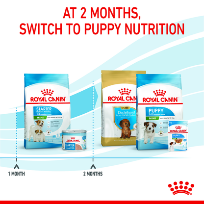 Royal Canin Mini Starter for Small Breed Dogs and Puppies Dry Food