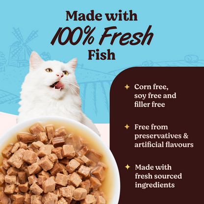 Kennel Kitchen Fish Chunks in Gravy Kitten and Adult Cat Wet Food All Life Stage