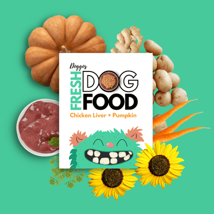 Doggos Jumbo Monster Chicken and Pumpkin Fresh Dog Wet Food All Breeds