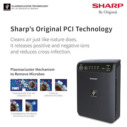 SHARP Car Air Purifier With PlasmaclusterRemoves BacteriaVirusMoldVocsI Comes With Set Of Pre Filter