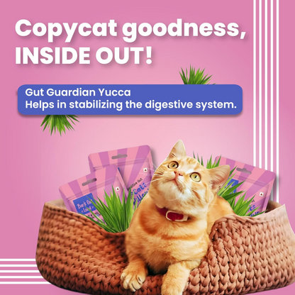 Bark Out Loud by Vivaldis Pillows for Sensitive Gut Cat Treats