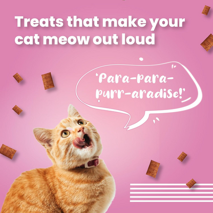 Bark Out Loud by Vivaldis Pillows for Sensitive Gut Cat Treats