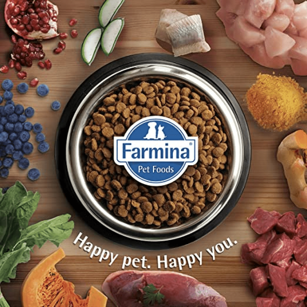 Farmina ND Quinoa Weight Management Grain Free Adult Dog Dry Food