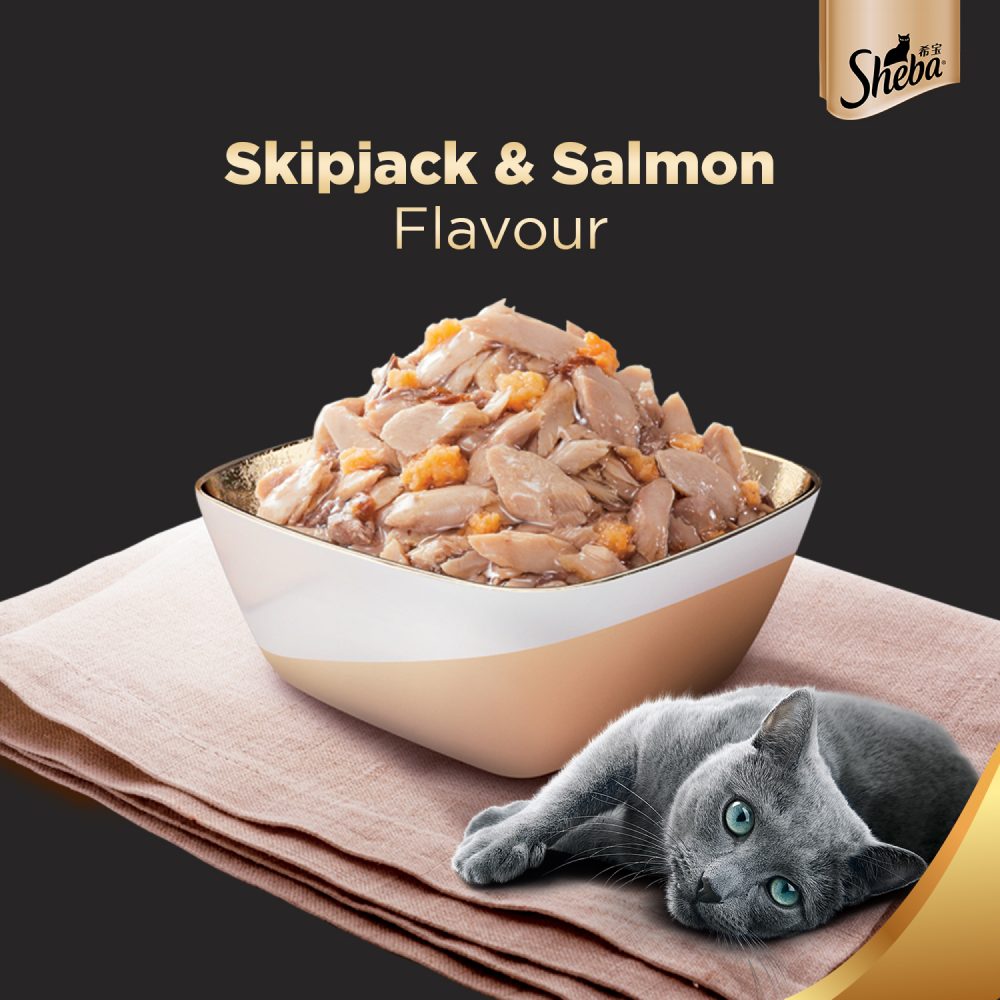 Sheba Skipjack  Salmon Fish Mix Cat Wet Food