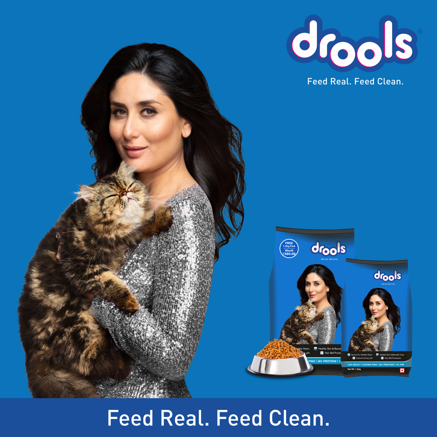 Drools Ocean Fish Adult Cat Dry Food