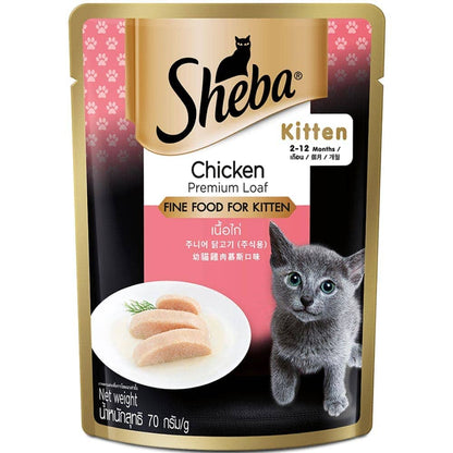 Sheba Chicken Loaf Premium Kitten 2 to 12 Months Wet Food and Chicken All Life Stage Cat Dry Food Combo