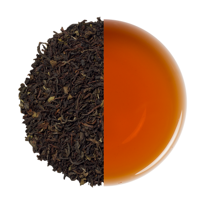 Darjeeling Summer Black Tea