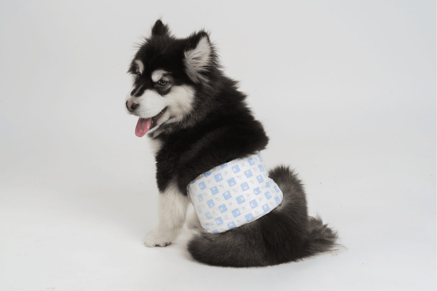 Fofos Diaper for Male Dog