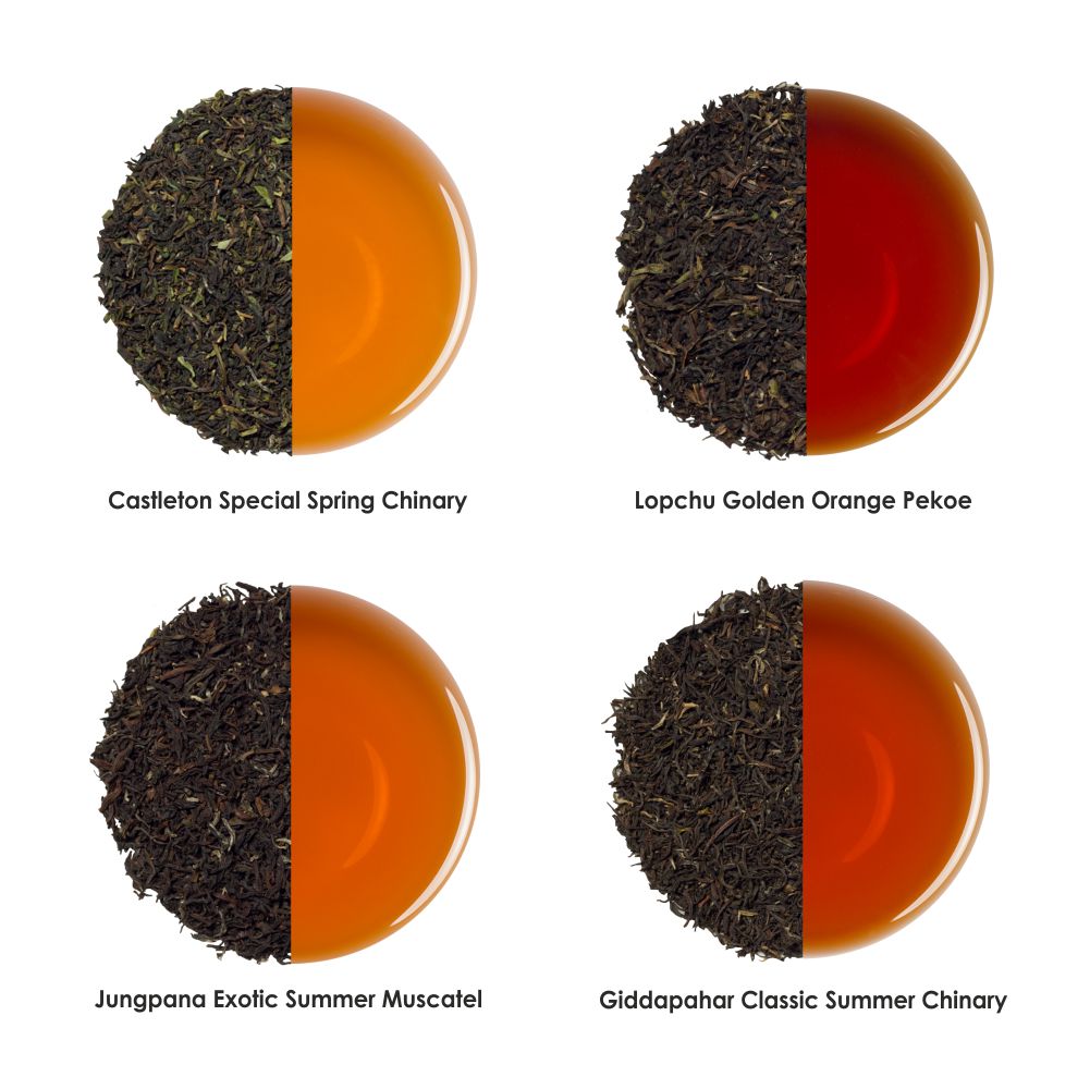 Darjeeling Tea Sampler 4 Teas