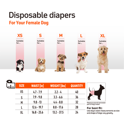 Fofos Diaper for Male Dog