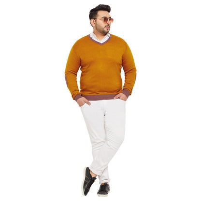 Men Plus Size Dumas Solid Sweater