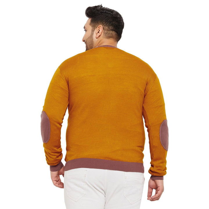 Men Plus Size Dumas Solid Sweater