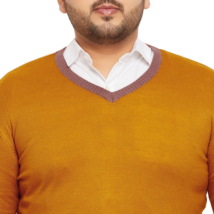 Men Plus Size Dumas Solid Sweater