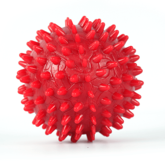 Drools Non Toxic Rubber Stud Spike Hard Ball Chew Teething Toy for Puppies and Dogs  For Aggressive Chewers