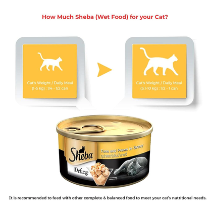 Sheba Tuna Fillet  Whole Prawns in Gravy Premium Cat Wet Food and Chicken Flavour Irresistible All Life Stage Cat Dry Food Combo