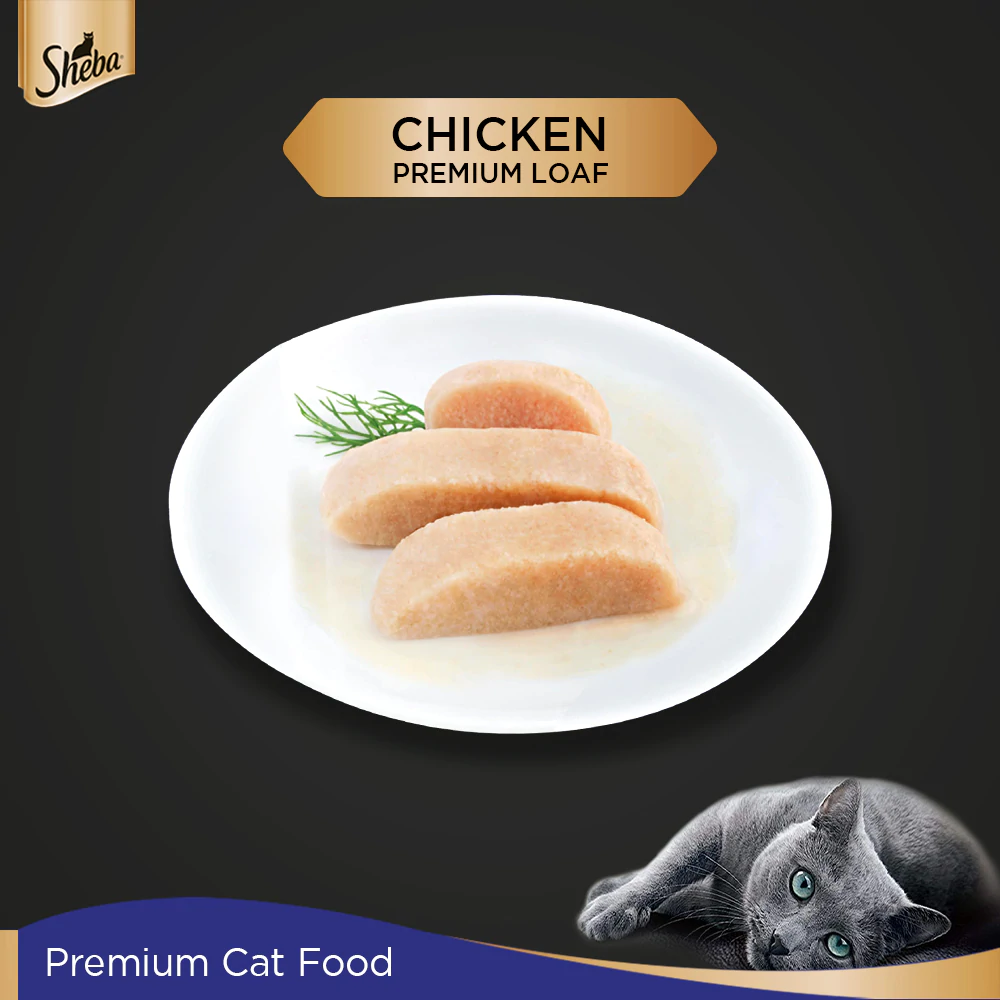 Sheba Chicken Loaf and Tuna Pumpkin  Carrot In Gravy Rich Premium Adult Fine Cat Wet Food Combo