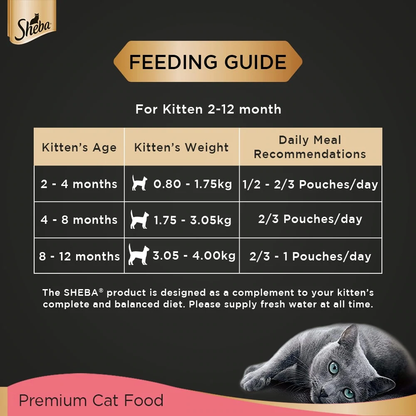 Sheba Chicken Loaf Premium Kitten 2 to 12 Months Wet Food and Chicken All Life Stage Cat Dry Food Combo