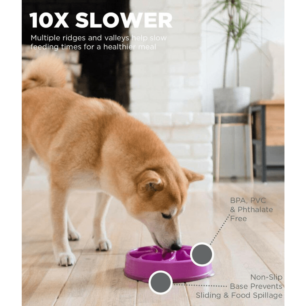 Outward Hound FunSlow Feeder for Dogs Purple