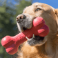 Kong Goodie Bone Toy for Dogs  For Aggressive Chewers