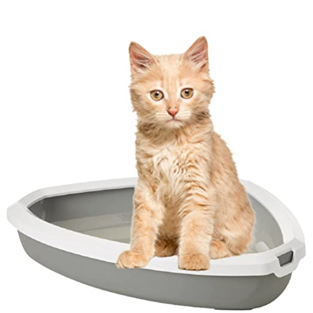 Savic Rincon Corner Litter Tray with Rim for Cats Cold Grey