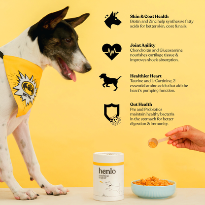 Henlo Everyday Topper for Home Cooked Food  Balanced Nutrition for Dogs