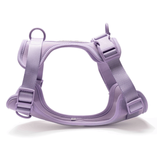 Furry  Co Bold Harness for Dogs Lilac