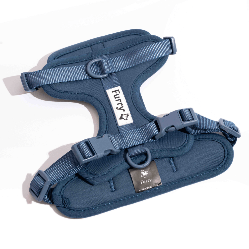 Furry  Co Bold Harness for Dogs Indigo Blue