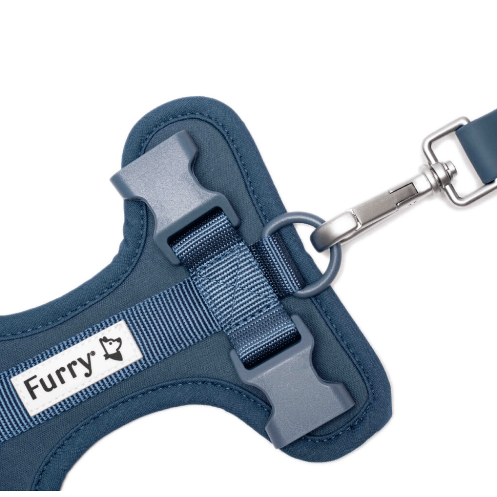 Furry  Co Bold Harness for Dogs Indigo Blue
