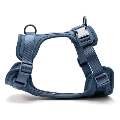 Furry  Co Bold Harness for Dogs Indigo Blue