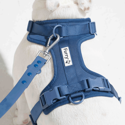 Furry  Co Bold Harness for Dogs Indigo Blue