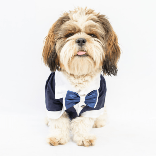 Pawgypets Tuxedo for Dogs and Cats Blue