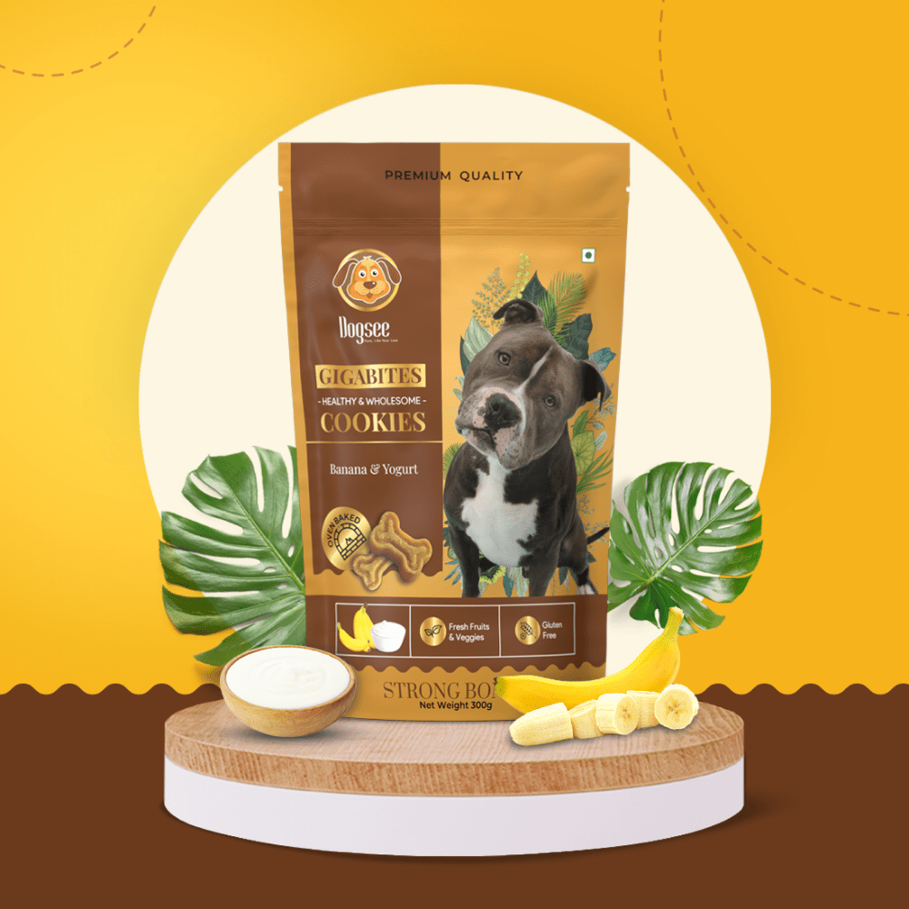 Dogsee Gigabites Banana Yogurt Dog Cookie Treats