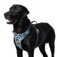 Truelove Floral No Pull Pet Harness for Dogs Saxony Blue