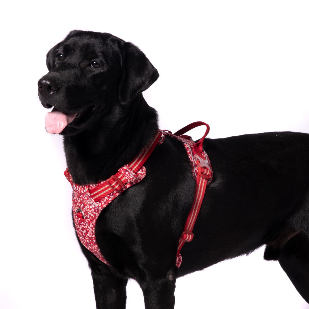 Truelove Floral No Pull Pet Harness for Dogs Poppy Red