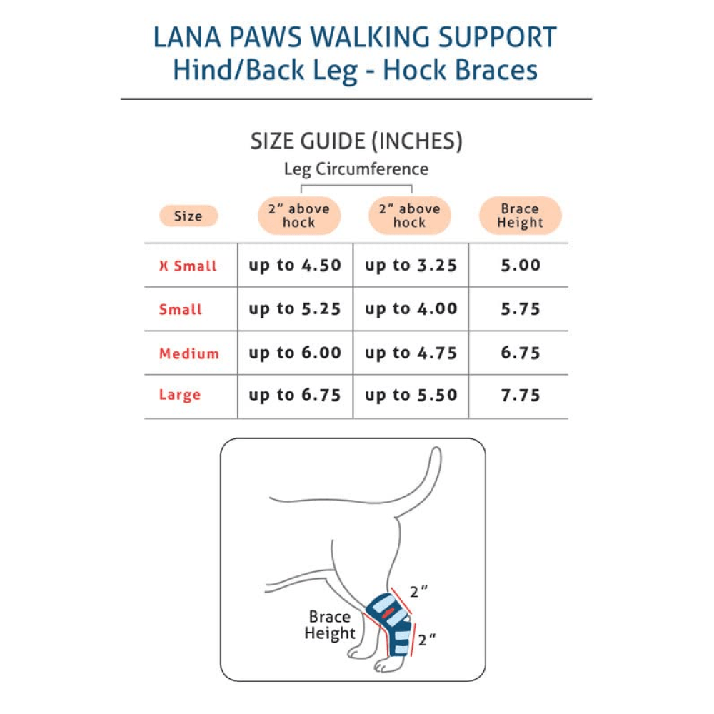Lana Paws Back Leg Splint Braces for Hock Joint Ankle Support  Mobility for Dogs and Cats Black
