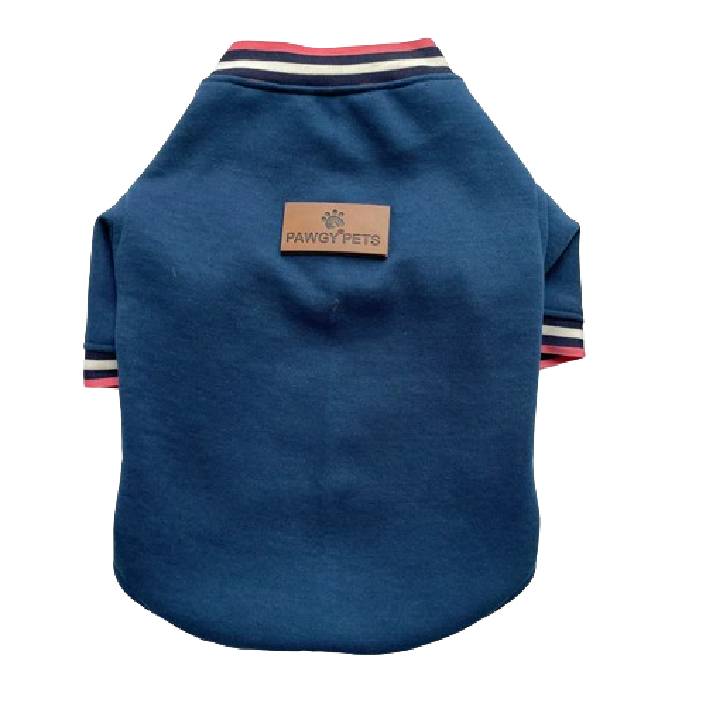 Pawgypets Candy Blue Sweatshirt for Dogs and Cats