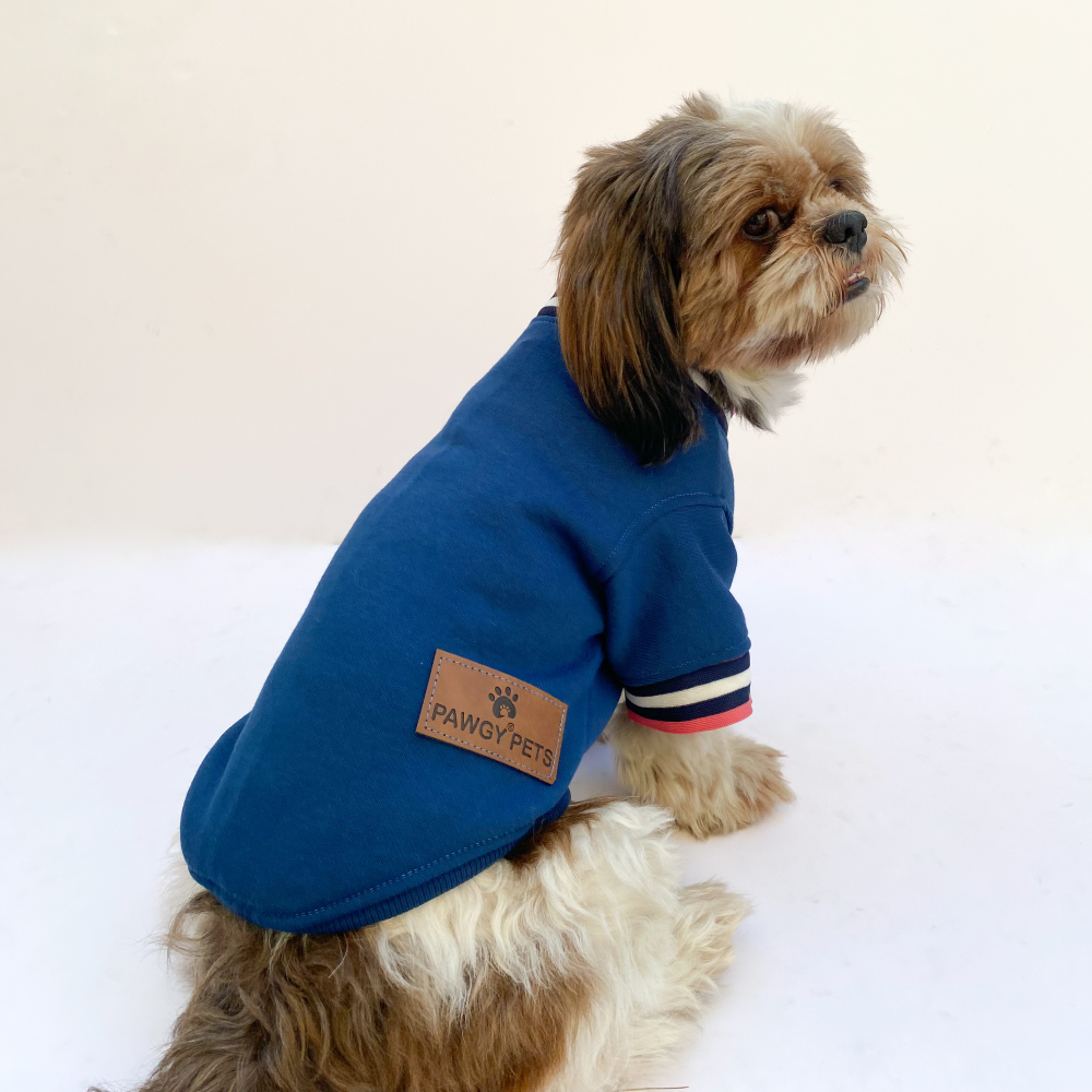 Pawgypets Candy Blue Sweatshirt for Dogs and Cats