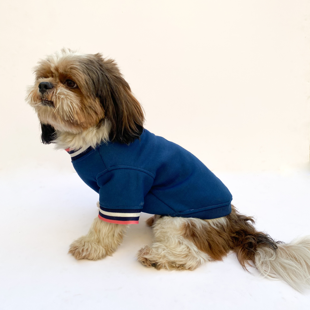 Pawgypets Candy Blue Sweatshirt for Dogs and Cats