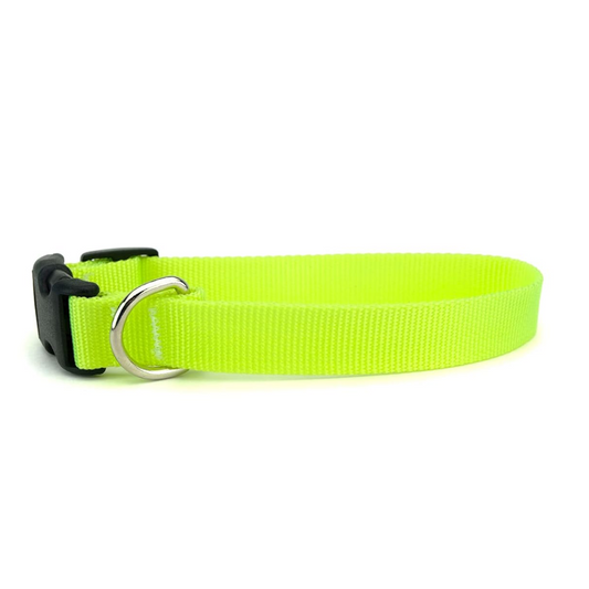 Skatrs Collar with Bell for Cats  Puppies Lime Green