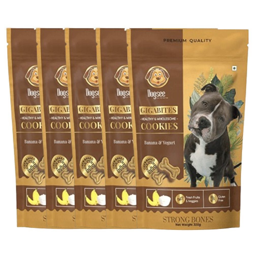 Dogsee Gigabites Banana Yogurt Dog Cookie Treats