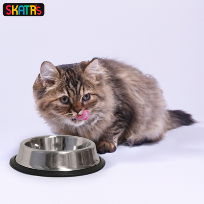 Skatrs Anti Skid Stainless Steel Bowl for Dogs and Cats Buy 1 Get 1