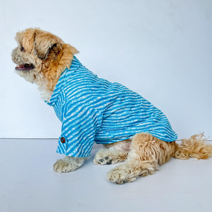 Pawgypets Lehriya Kurta for Dogs and Cats Blue