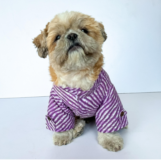 Pawgypets Lehriya Kurta for Dogs and Cats Purple