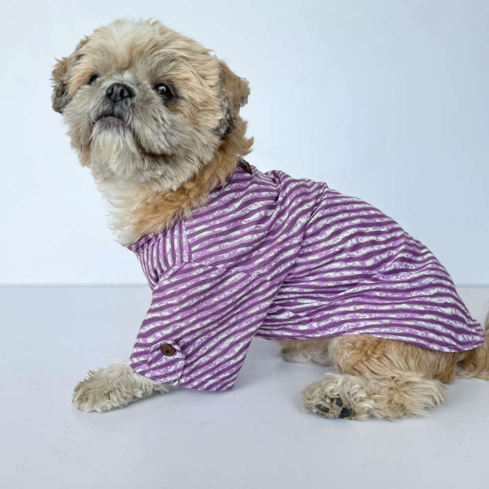 Pawgypets Lehriya Kurta for Dogs and Cats Purple