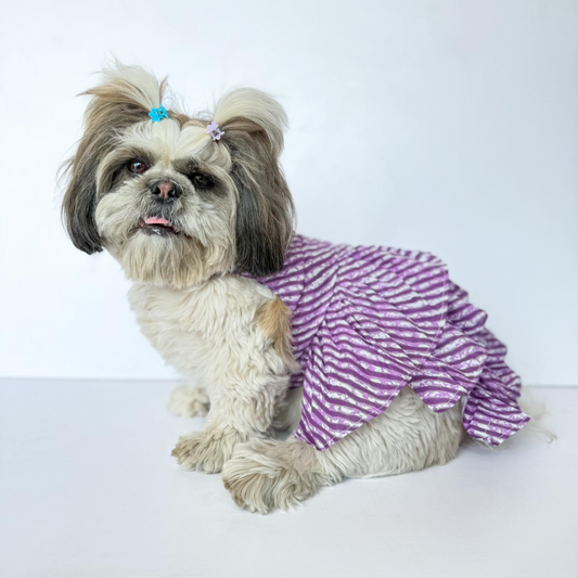 Pawgypets Lehriya Dress for Dogs and Cats Purple