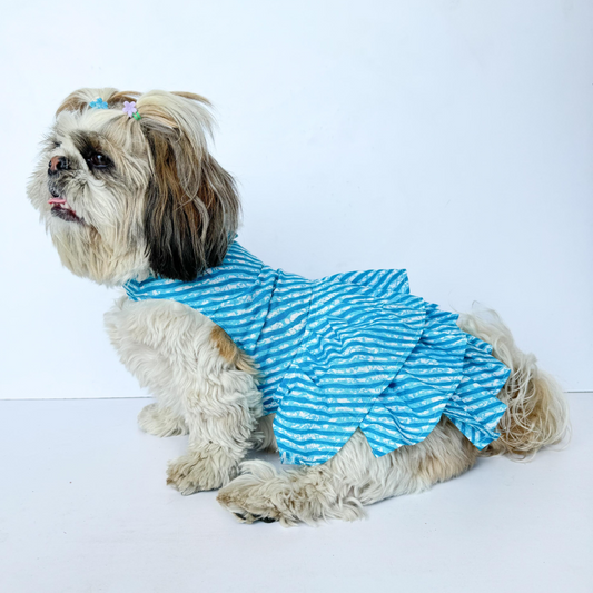 Pawgypets Lehriya Dress for Dogs and Cats Blue