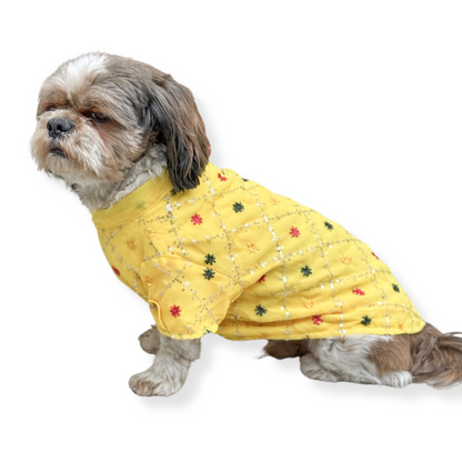 Pawgypets Festive Shirt for Dogs and Cats Yellow