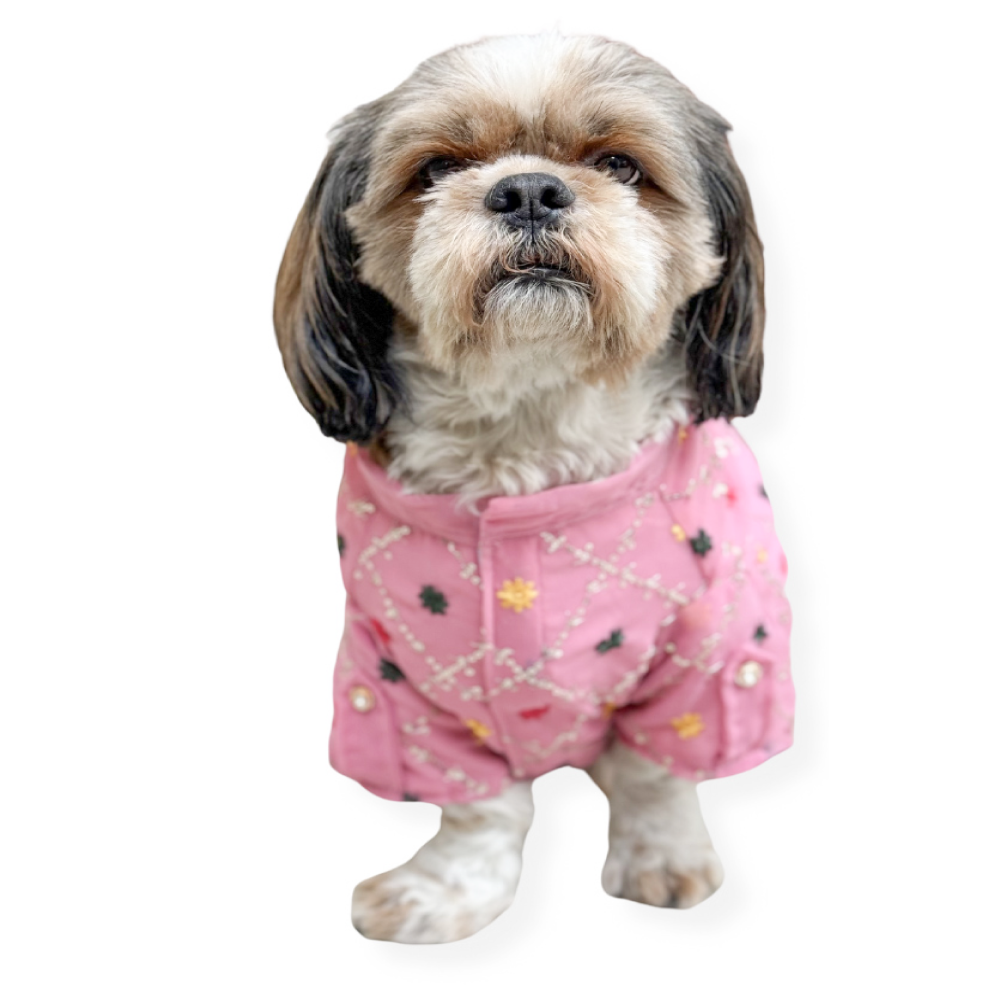 Pawgypets Festive Shirt for Dogs and Cats Pink